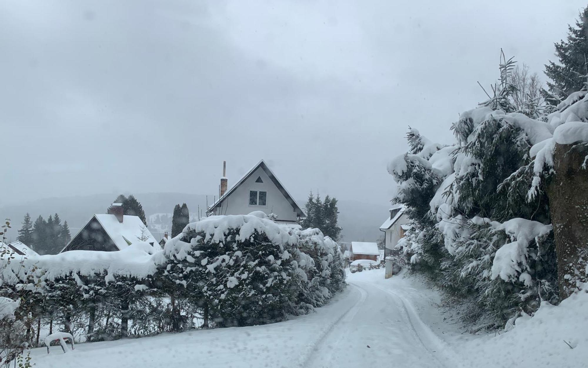 Nase Chata Lipno Lipno nad Vltavou Buitenkant foto