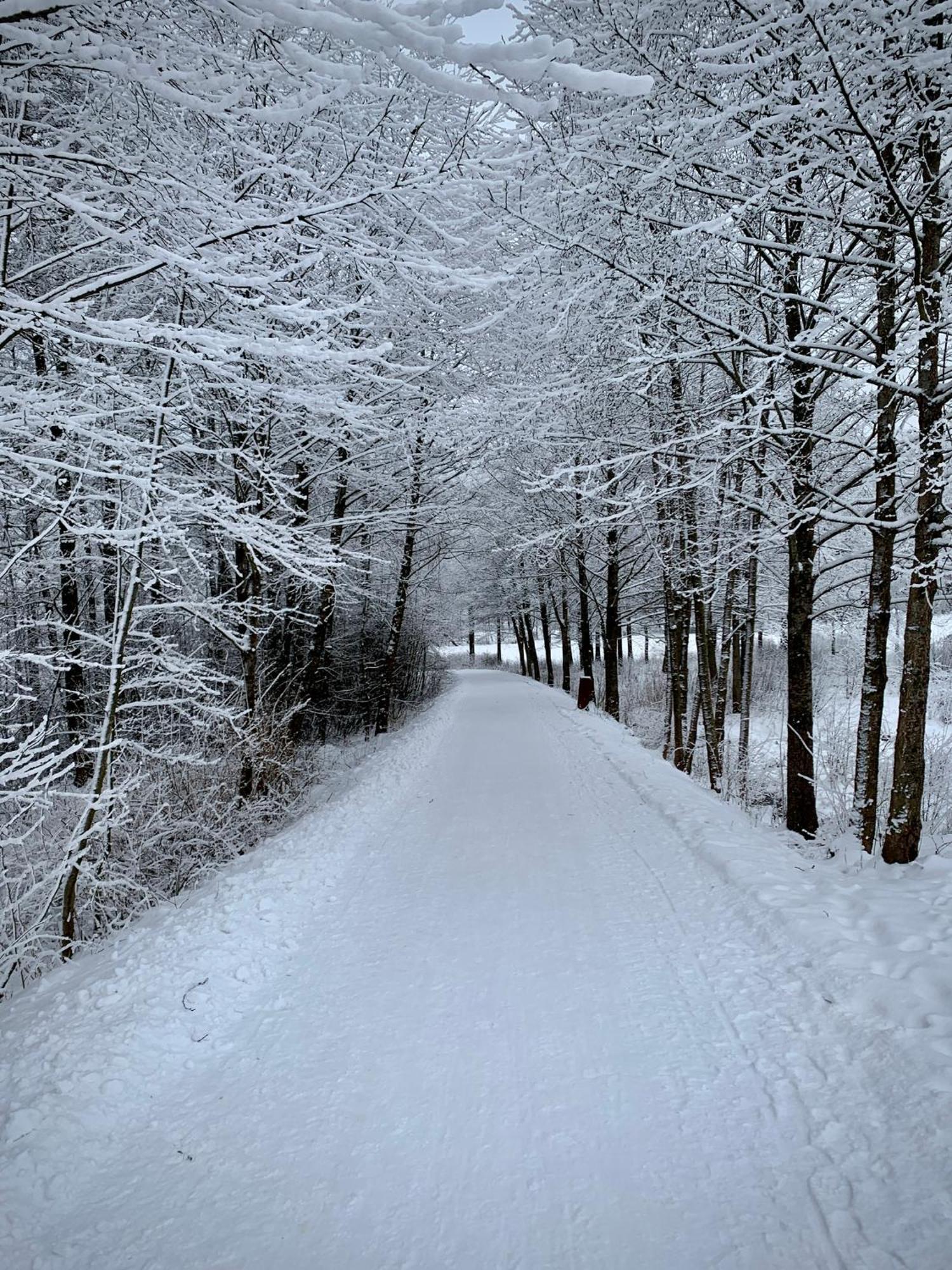 Nase Chata Lipno Lipno nad Vltavou Buitenkant foto